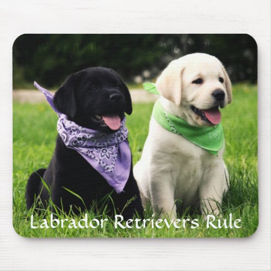 Labrador Retrievers Rule Puppies Mousepad Muismat (Voorkant)