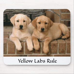Labrador Retrievers Rule Puppies Mousepad Muismat