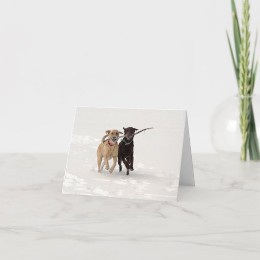 Labrador Retrievers spelen in de sneeuw Groet Kaart (Voorkant)