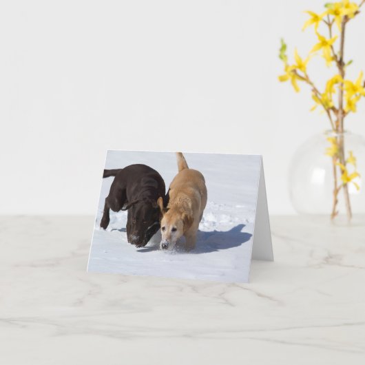 Labrador Retrievers Tracking In Sneeuwgroet Kaart (Gele Bloem)