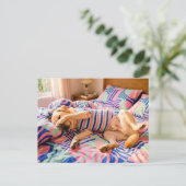 Labrador rustend op kleurige beddensprei briefkaart (Staand voorkant)