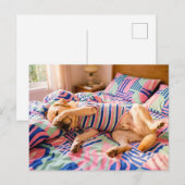 Labrador rustend op kleurige beddensprei briefkaart (Voorkant / Achterkant)