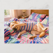 Labrador rustend op kleurige beddensprei