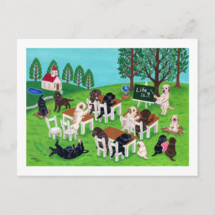 Labrador School Briefkaart