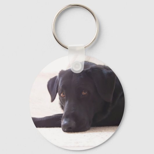 labrador sleutelhanger (Voorkant)