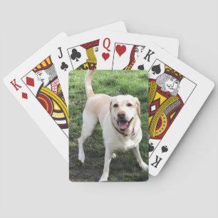 Labrador-spelkaarten Pokerkaarten