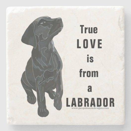 Labrador Stenen Onderzetter (Voorkant)