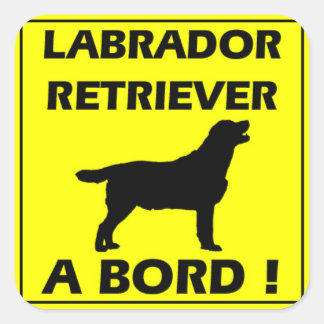 Labrador-sticker Vierkante Sticker