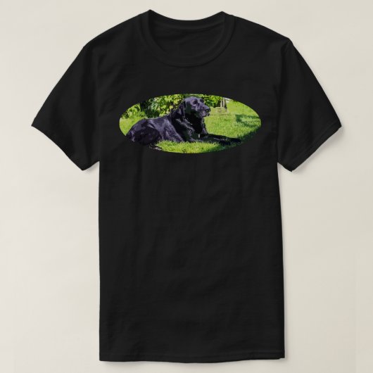 labrador t-shirt (Design voorkant)