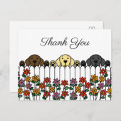 Labrador Trio kijken u dank u Briefkaart (Voorkant / Achterkant)