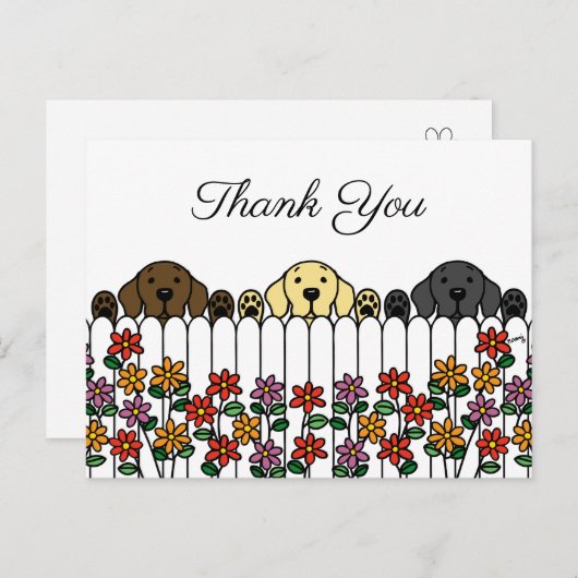 Labrador Trio kijken u dank u Briefkaart (Voorkant / Achterkant)