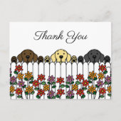 Labrador Trio kijken u dank u Briefkaart (Voorkant)