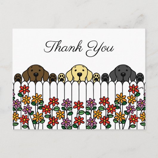 Labrador Trio kijken u dank u Briefkaart (Voorkant)
