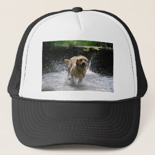 Labrador Trucker Pet
