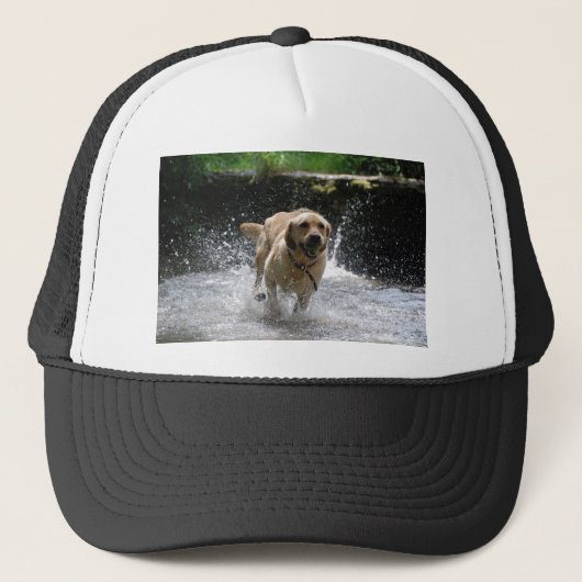Labrador Trucker Pet (Voorkant)