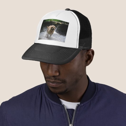 Labrador Trucker Pet (In situ)