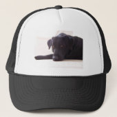 labrador trucker pet (Voorkant)