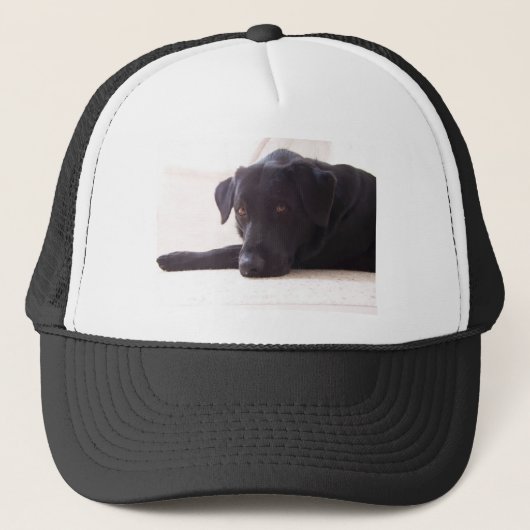labrador trucker pet (Voorkant)