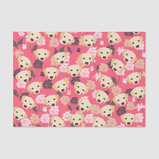 Labrador-weefselpapier Tissuepapier (Voorkant)