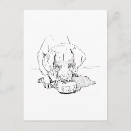 Labrador Welpen Ansichtkaart voor Hondenliefhebber Briefkaart