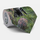 Labrador (zwart) - bij de Seine Stropdas (Opgerold)