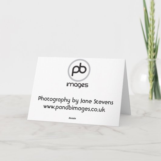 Labrador - Zwart Feestdagen Kaart (Achterkant)