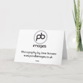 Labrador - zwart feestdagen kaart (Achterkant)