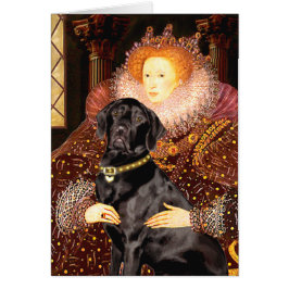 Labrador (zwart) - koningin