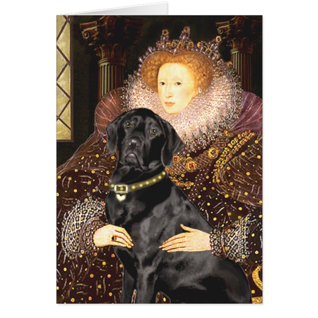 Labrador (zwart) - koningin (Voorkant)