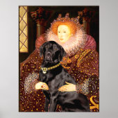 Labrador (zwart) - koningin poster (Voorkant)