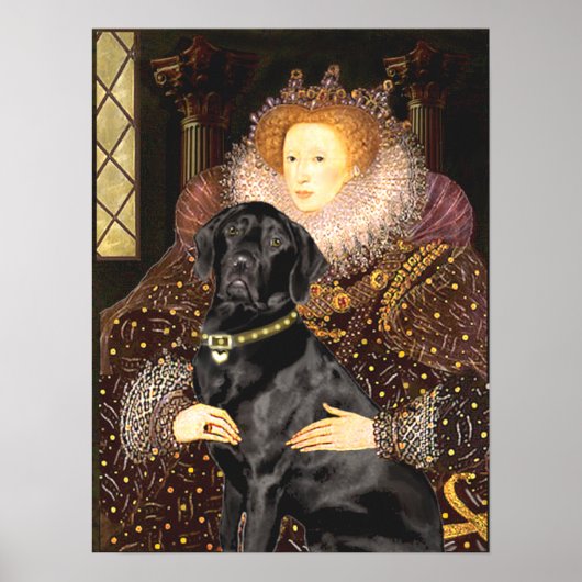 Labrador (zwart) - koningin poster (Voorkant)