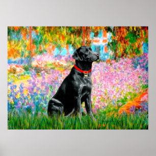 Labrador (zwart) - Tuin Poster