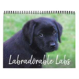 Labradorable Labs - Black Labrador Retriever Kalender