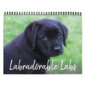 Labradorable Labs - Black Labrador Retriever Kalender (Hoes)