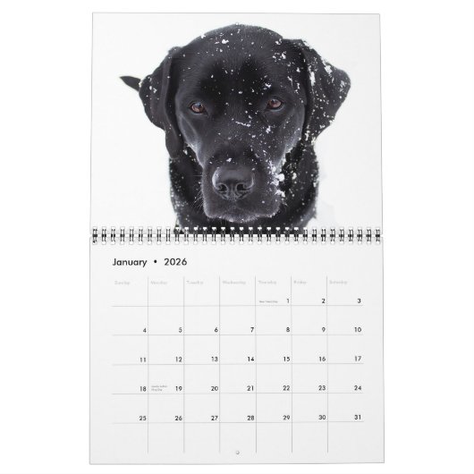 Labradorable Labs - Black Labrador Retriever Kalender (Jan 2026)