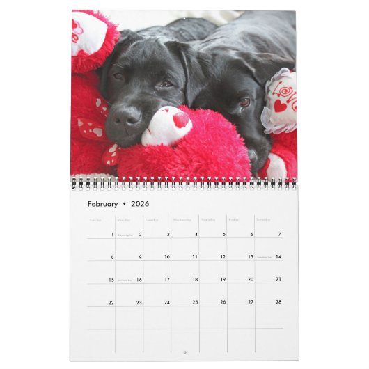 Labradorable Labs - Black Labrador Retriever Kalender (Feb 2026)