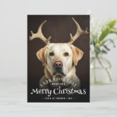 Labradorable Wishes Merry Christmas Tekst Hond Feestdagenkaart (Staand voorkant)