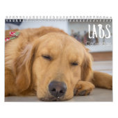 labradorkalender 2023 kalender (Hoes)