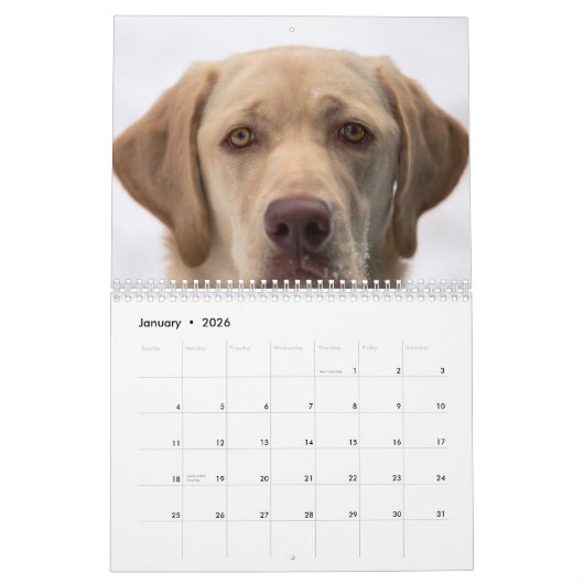 labradorkalender 2023 kalender (Jan 2026)