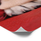 Labradorpuppy's en rozen poster (Hoek)