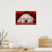 Labradorpuppy's en rozen poster (Keuken)
