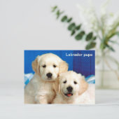 Labradorpups Briefkaart (Staand voorkant)
