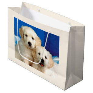 Labradorpups Groot Cadeauzakje