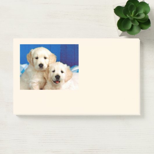 Labradorpups Post-it® Notes (Kantoor)