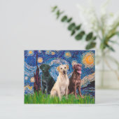 Labradors (3) - Sterrennacht Briefkaart (Staand voorkant)