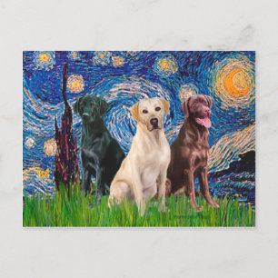 Labradors (3) - Sterrennacht Briefkaart