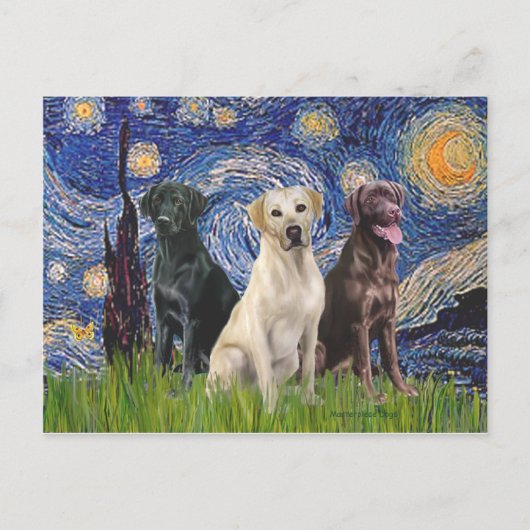 Labradors (3) - Sterrennacht Briefkaart (Voorkant)