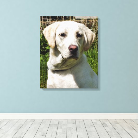 LABRADORS CANVAS AFDRUK (Insitu (Houten vloer))