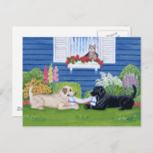 Labradors in de tuin briefkaart (Voorkant / Achterkant)