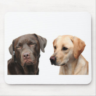 labradors muismat